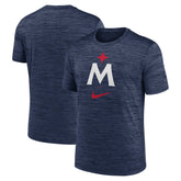 Minnesota Twins Nike 2023 Logo Velocity Performance T-Shirt | MLB On Sale