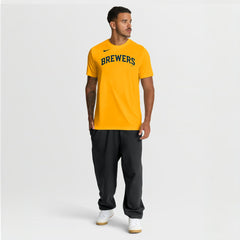 Milwaukee Brewers Nike New Legend Wordmark Dri-FIT T-Shirt | MLB For sale