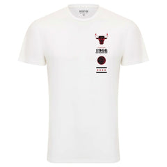 Chicago Bulls Sportiqe Unisex 1966 Collection City Flag Bingham T-Shirt sale Online