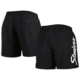 Pittsburgh Steelers Mitchell & Ness Team Essentials Nylon Shorts