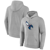 Charlotte Hornets Alternate Logo Pullover Hoodie Online
