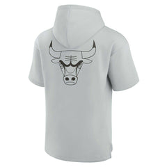 Chicago Bulls Unisex Elements Super Soft Fleece Short Sleeve Pullover Hoodie sale New