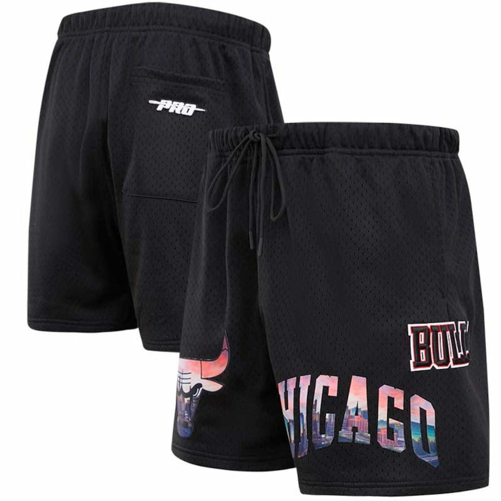 Chicago Bulls Pro Standard City Scape Mesh Shorts Outlet