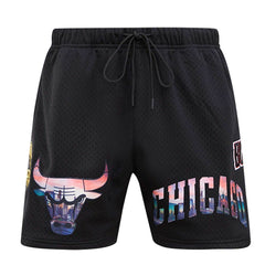 Chicago Bulls Pro Standard City Scape Mesh Shorts Outlet