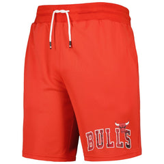 Chicago Bulls Tommy Jeans Mike Mesh Basketball Shorts On Sale