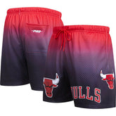 Chicago Bulls Pro Standard Ombre Mesh Shorts For Sale