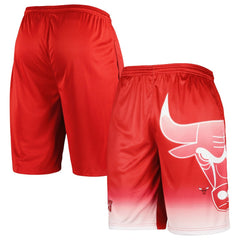 Chicago Bulls Graphic Shorts New