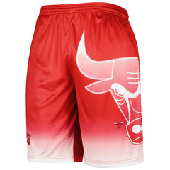 Chicago Bulls Graphic Shorts New