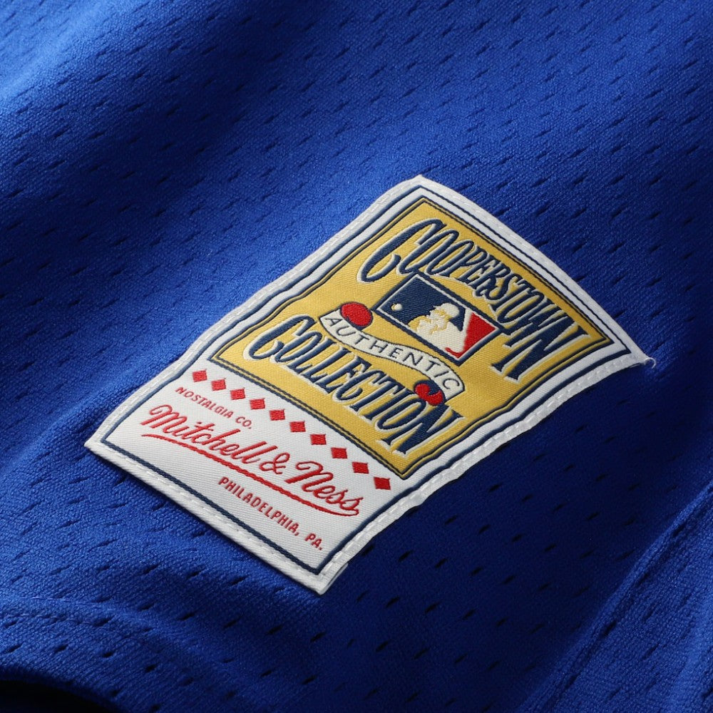 Joe Carter Toronto Blue Jays Mitchell & Ness Authentic Batting Practice Jersey | MLB US