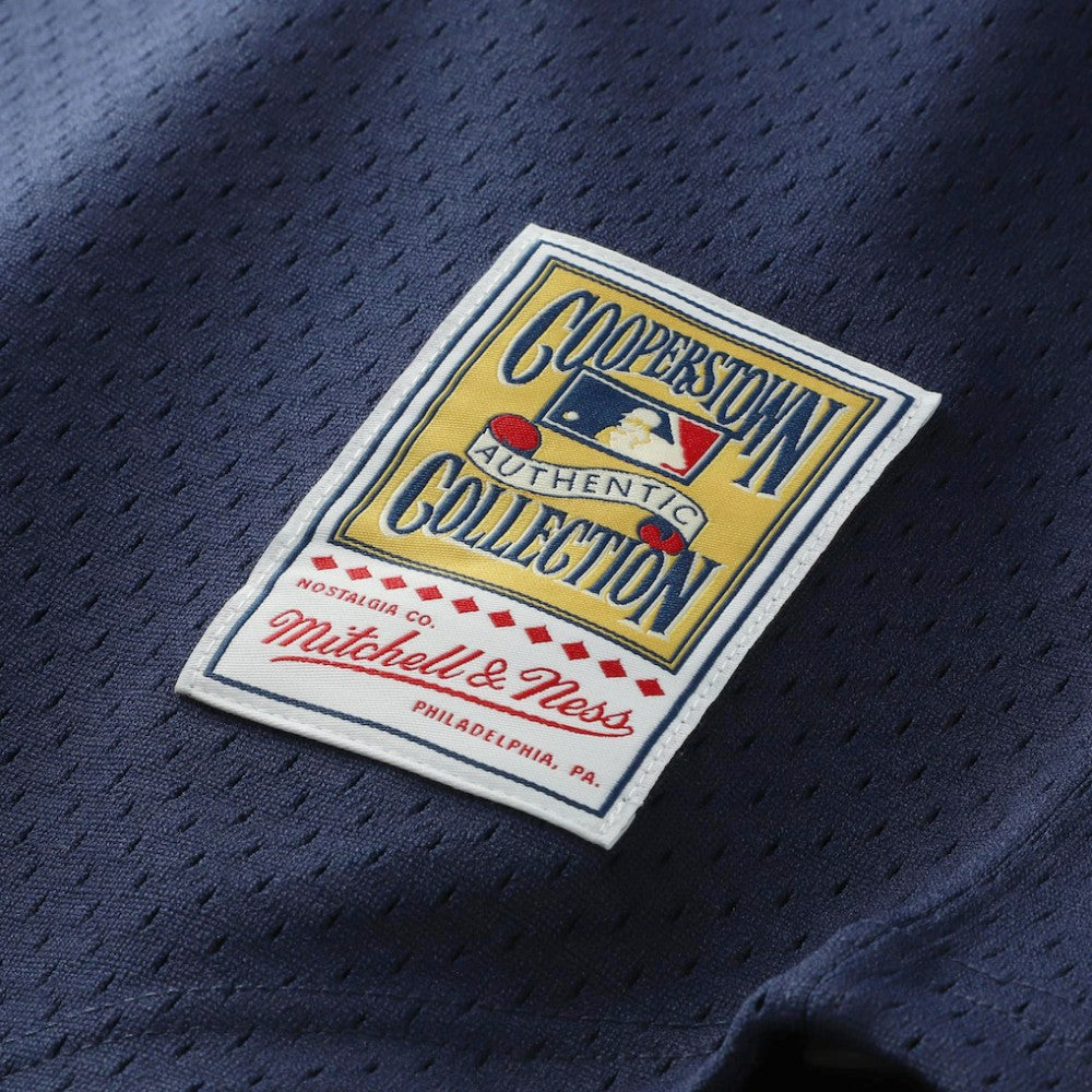 Kirby Puckett Minnesota Twins Mitchell & Ness Authentic Batting Practice Jersey | MLB Sale