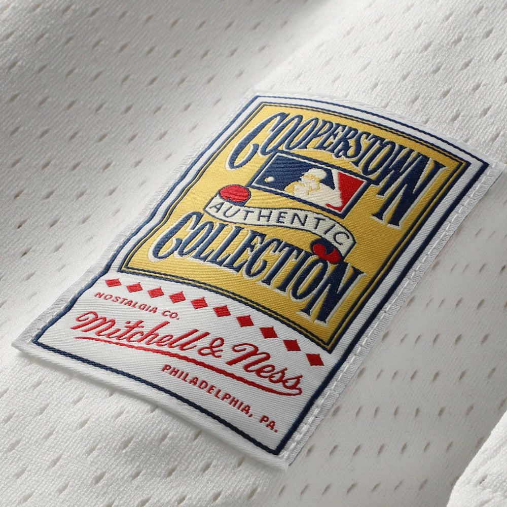 Cal Ripken Jr. Baltimore Orioles Mitchell & Ness Authentic Batting Practice Jersey | MLB Discount