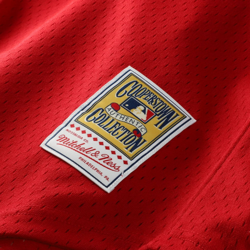 Ozzie Smith St. Louis Cardinals Mitchell & Ness Authentic Batting Practice Jersey | MLB Near me