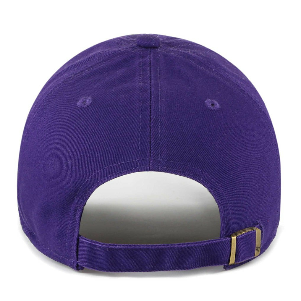 Minnesota Vikings 47 brand '47 Women's Confetti Icon Clean Up Adjustable Hat