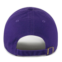 Minnesota Vikings 47 brand '47 Women's Confetti Icon Clean Up Adjustable Hat