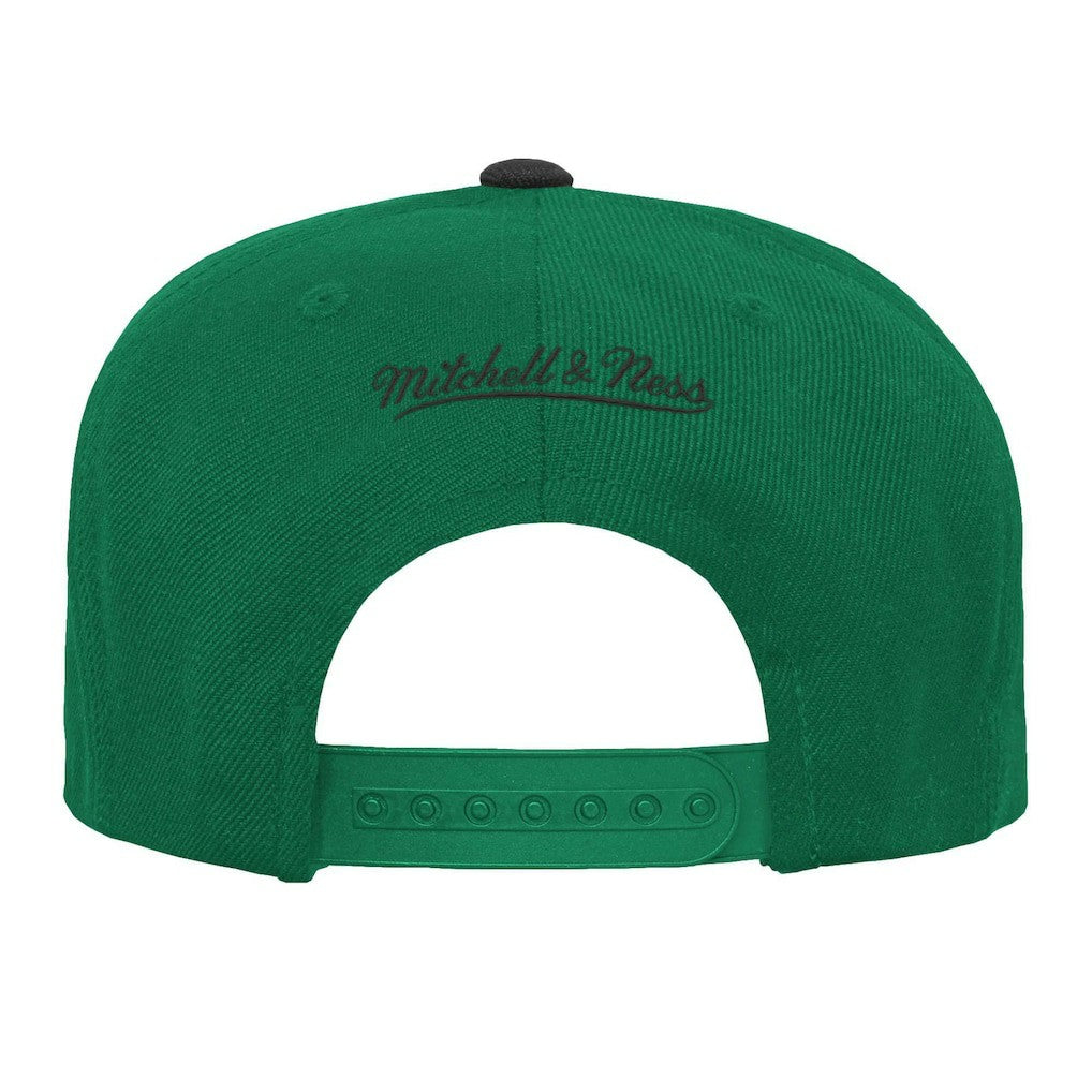 Boston Celtics Youth Two-Tone Snapback Hat Online