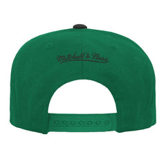 Boston Celtics Youth Two-Tone Snapback Hat Online