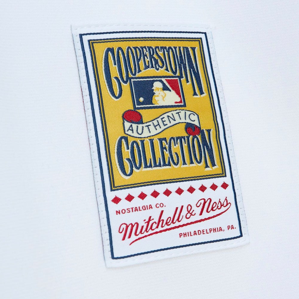 Roberto Clemente Pittsburgh Pirates Mitchell & Ness Cooperstown Collection Authentic Jersey | MLB Discount
