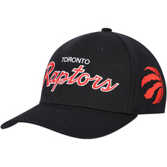 Toronto Raptors MVP Team Script 2.0 Stretch Snapback Hat Online
