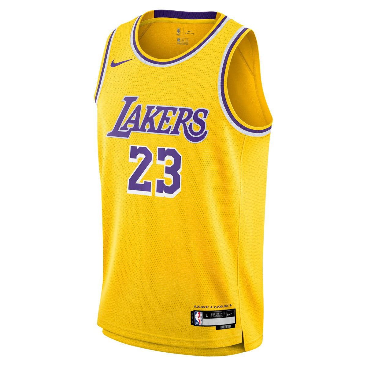 LeBron James Los Angeles Lakers Youth Swingman Jersey Discount