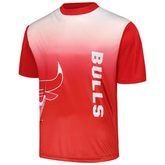 Chicago Bulls Sublimated T-Shirt sale Online