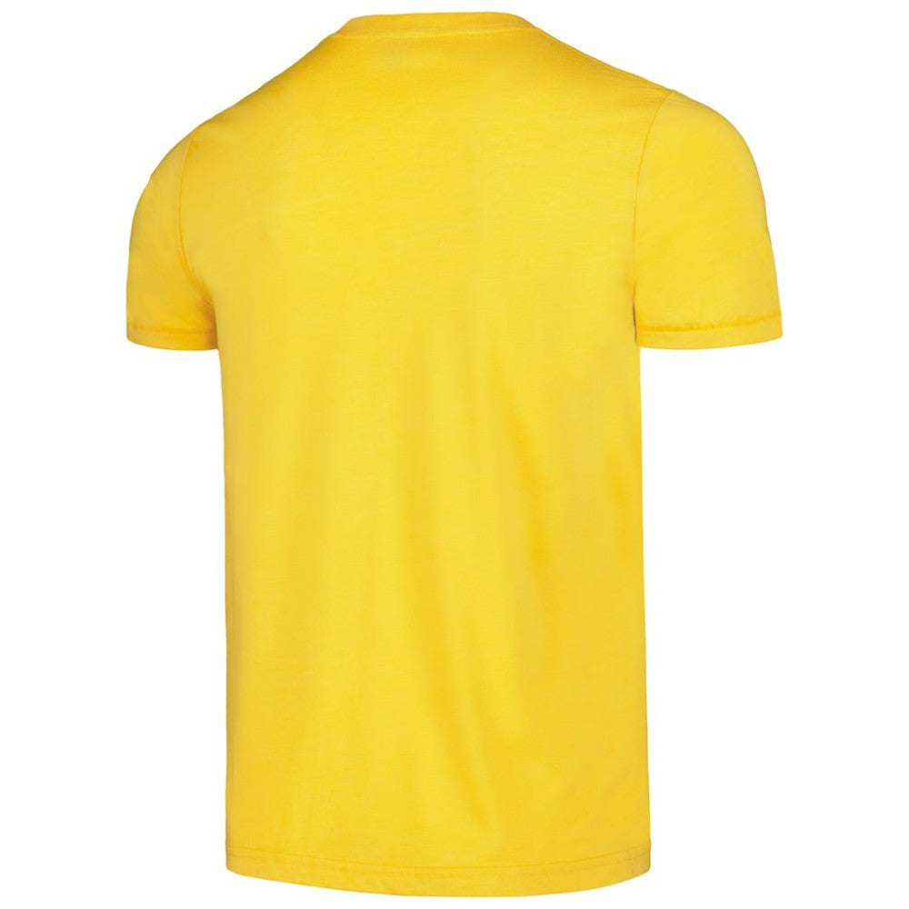 Pittsburgh Pirates Homage Doodle Collection We Are Fam-A-Lee Tri-Blend T-Shirt | MLB For sale