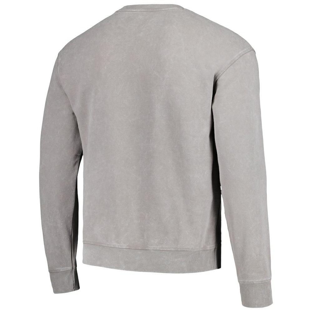 Carolina Panthers  The Wild Collective Unisex Distressed Pullover Sweatshirt