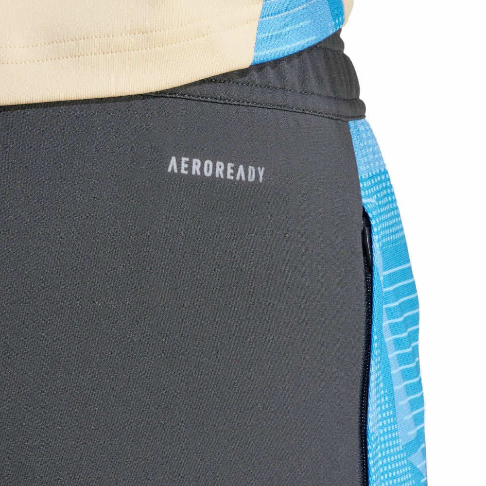 Argentina National Team 2024 AEROREADY Training Pants Gray - Adidas