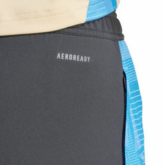 Argentina National Team 2024 AEROREADY Training Pants Gray - Adidas