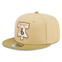 Philadelphia 76ers Green Collection Repreve 9FIFTY Snapback Hat On Sale