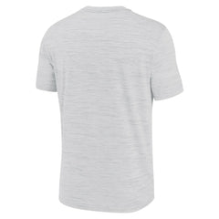 Tampa Bay Rays Nike Authentic Collection Velocity Performance Practice T-Shirt | MLB On Sale