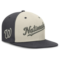 Washington Nationals Nike Dri-FIT True Fitted Hat | MLB Shop