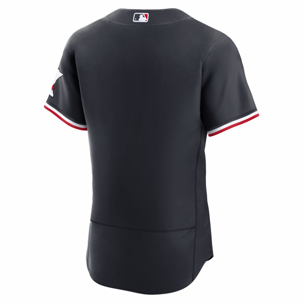 Minnesota Twins Nike Alternate Authentic Jersey | MLB Near me