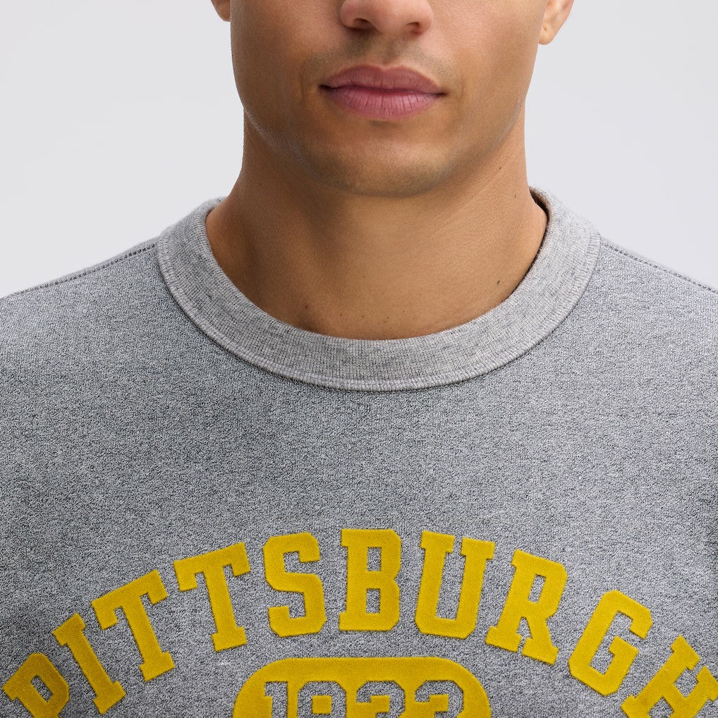 Pittsburgh Steelers Fanatics IconicFleece Short Sleeve Sweatshirt