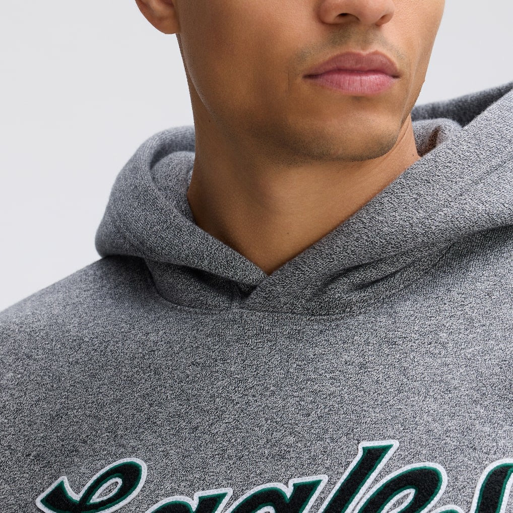Philadelphia Eagles Fanatics IconicFleece Tipped Hoodie