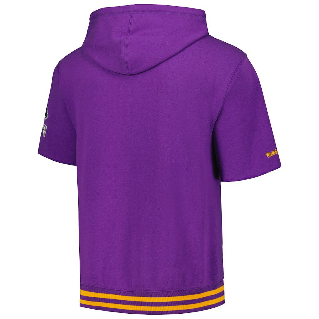 Minnesota Vikings Mitchell & Ness Pre-Game Short Sleeve Pullover Hoodie