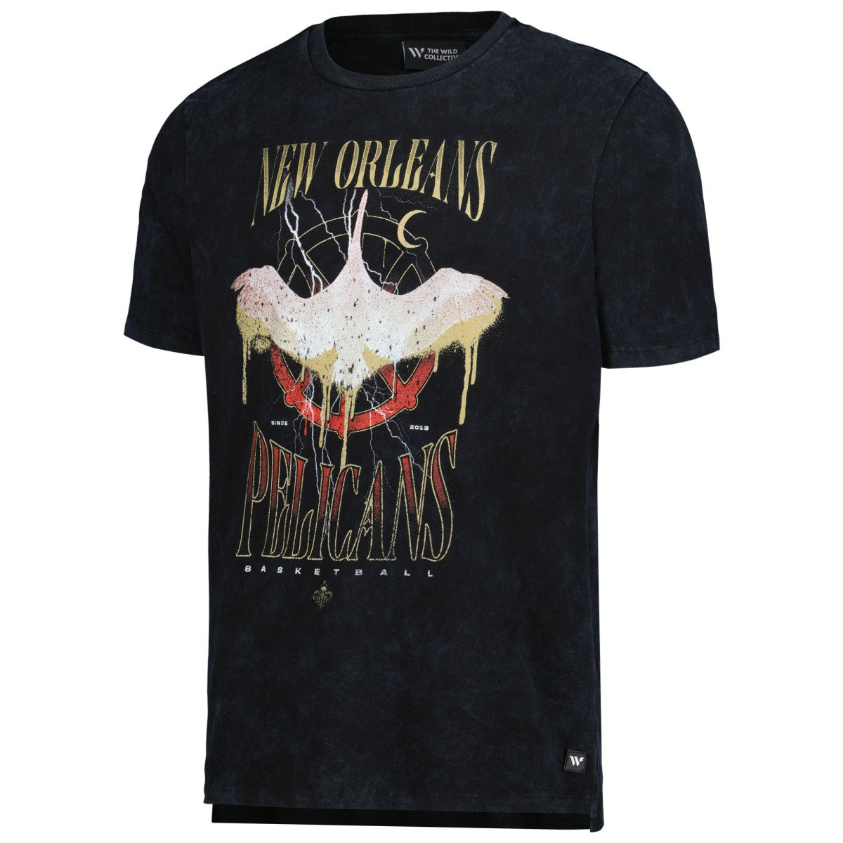 New Orleans Pelicans The Wild Collective Unisex Tour Band T-Shirt Online