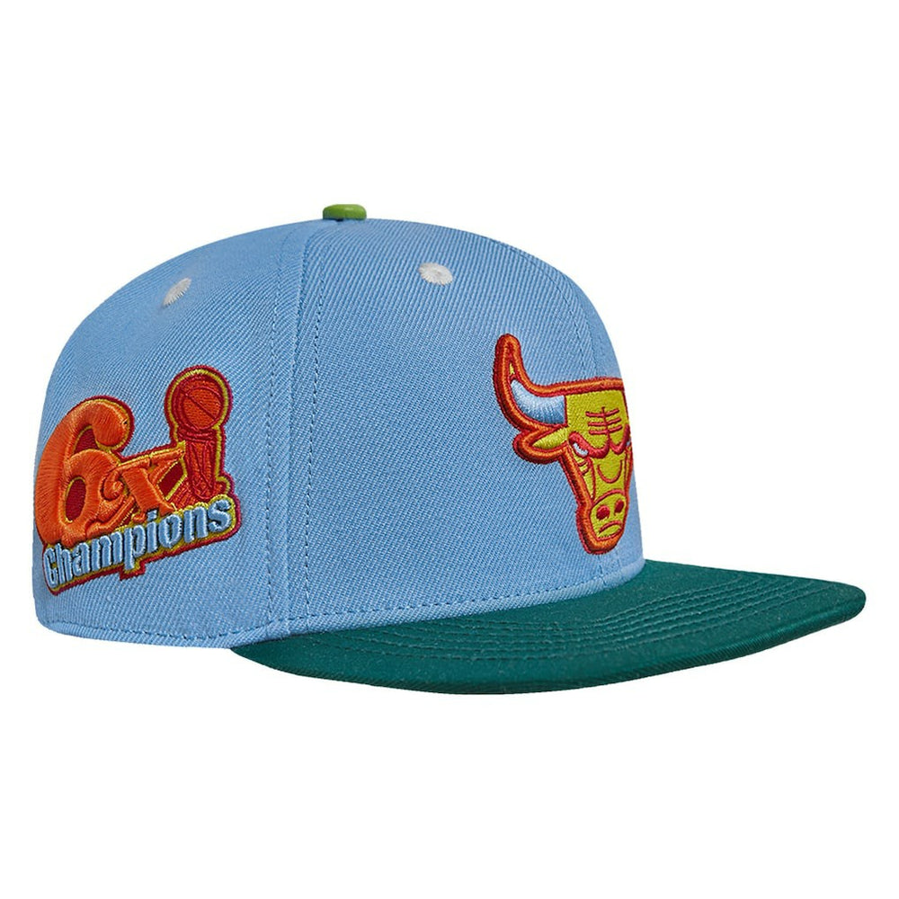 Chicago Bulls Pro Standard Retro Program 2-Tone Snapback Hat Online