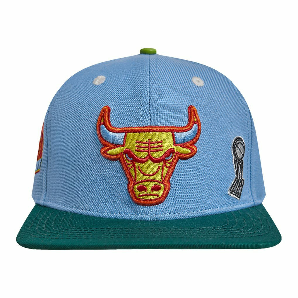 Chicago Bulls Pro Standard Retro Program 2-Tone Snapback Hat Online