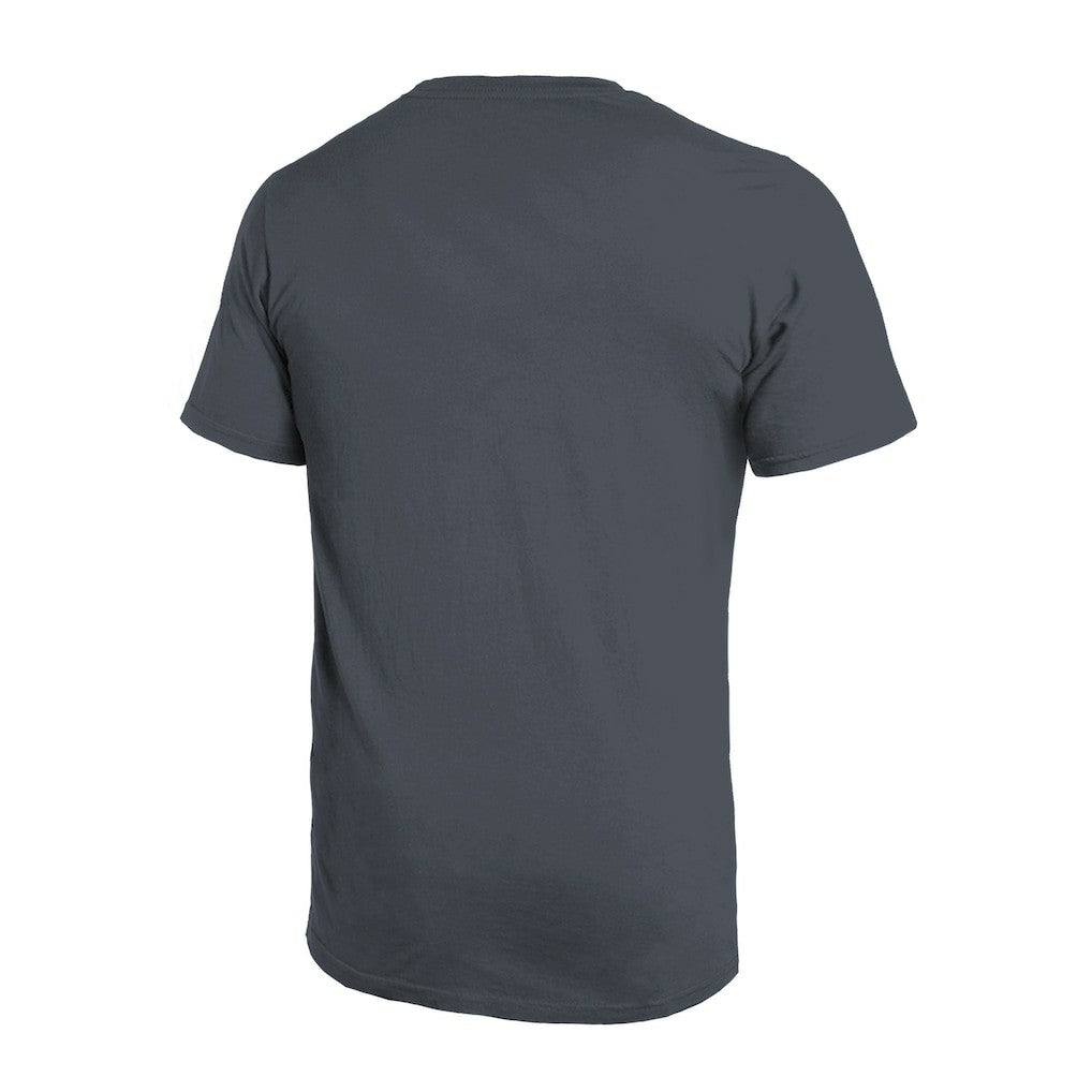 Atlanta Falcons  Majestic Threads Sundays Skyline T-Shirt