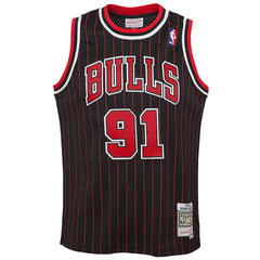 Dennis Rodman Chicago Bulls Youth 1995/96 Hardwood Classics Swingman Jersey sale New