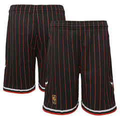 Chicago Bulls Youth Hardwood Classics Swingman Shorts Online