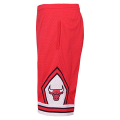 Chicago Bulls Youth Hardwood Classics Swingman Shorts Discount