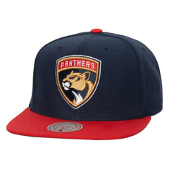 Florida Panthers Mitchell & Ness Core Team Ground 2.0 Snapback Hat For Sale