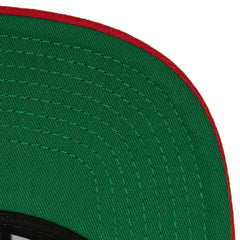 Florida Panthers Mitchell & Ness Core Team Ground 2.0 Snapback Hat For Sale