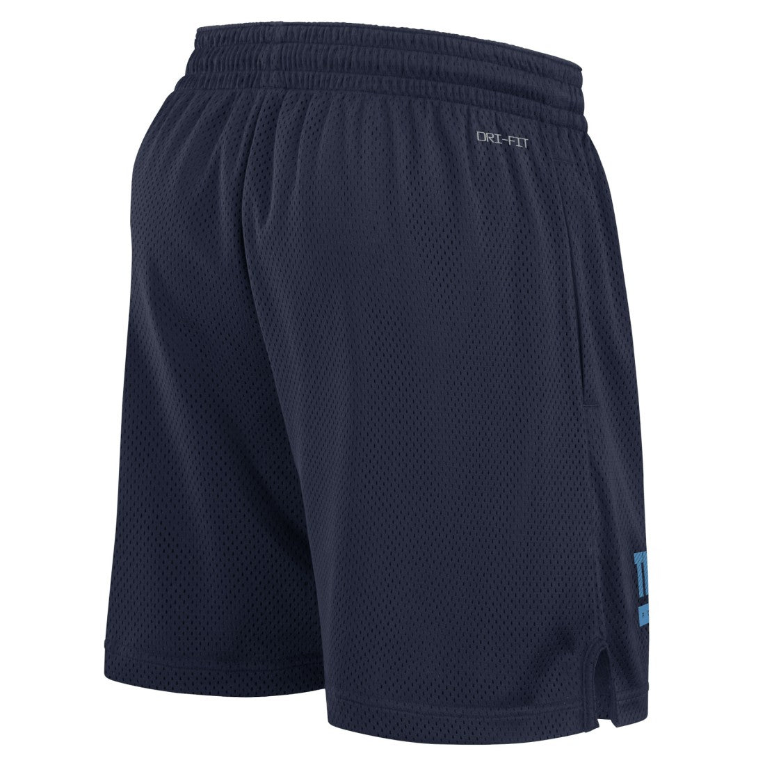 Tennessee Titans Nike 2024 Sideline Performance Mesh Shorts