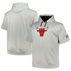 Chicago Bulls Big & Tall Logo Pullover Hoodie Discount