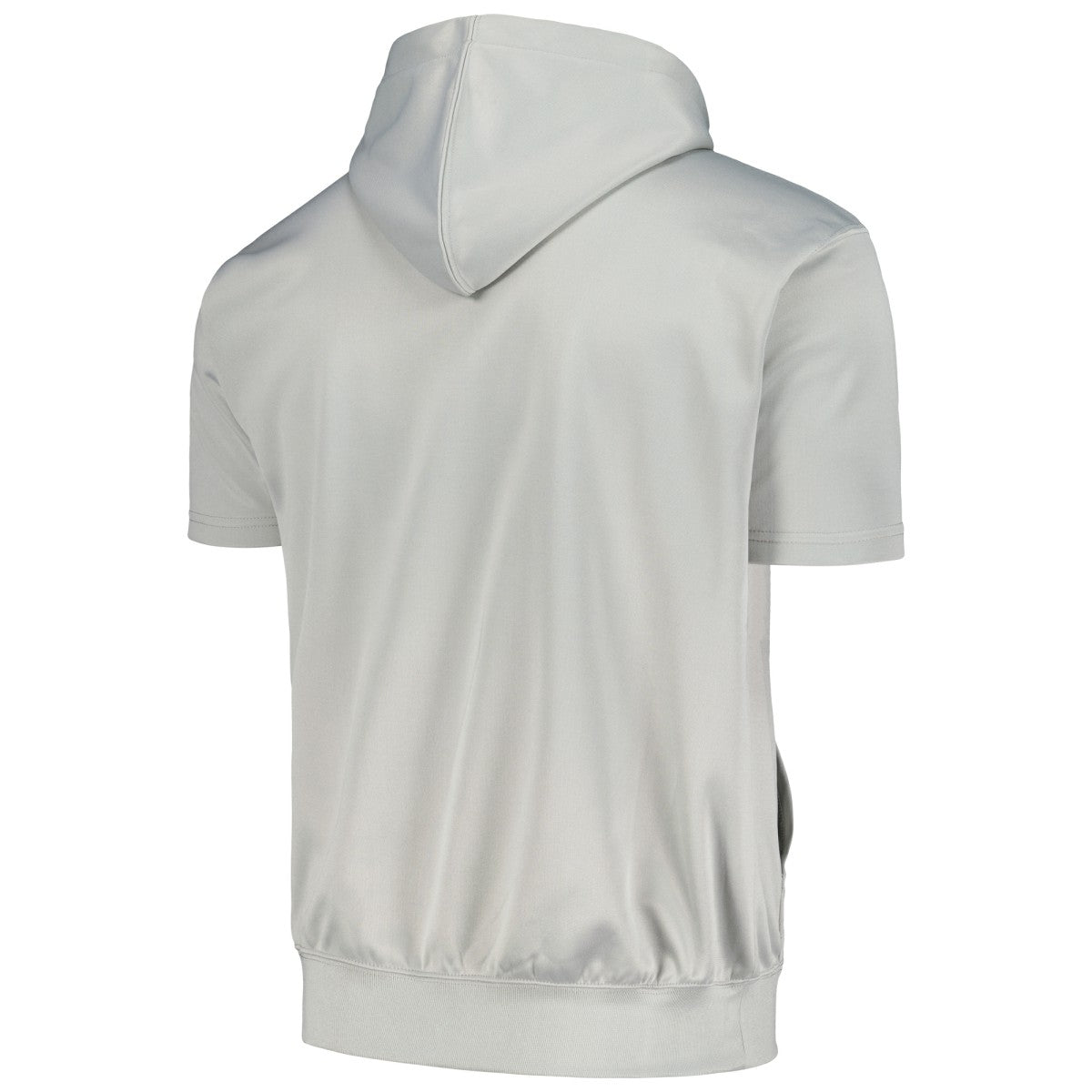 Phoenix Suns Big & Tall Logo Pullover Hoodie Online