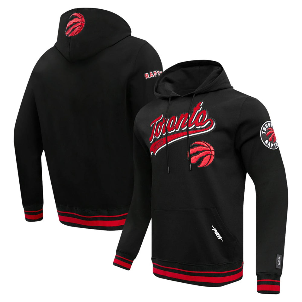 Toronto Raptors Pro Standard Script Tail Pullover Hoodie For Sale