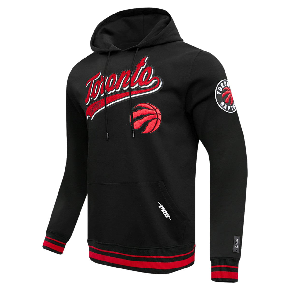 Toronto Raptors Pro Standard Script Tail Pullover Hoodie For Sale