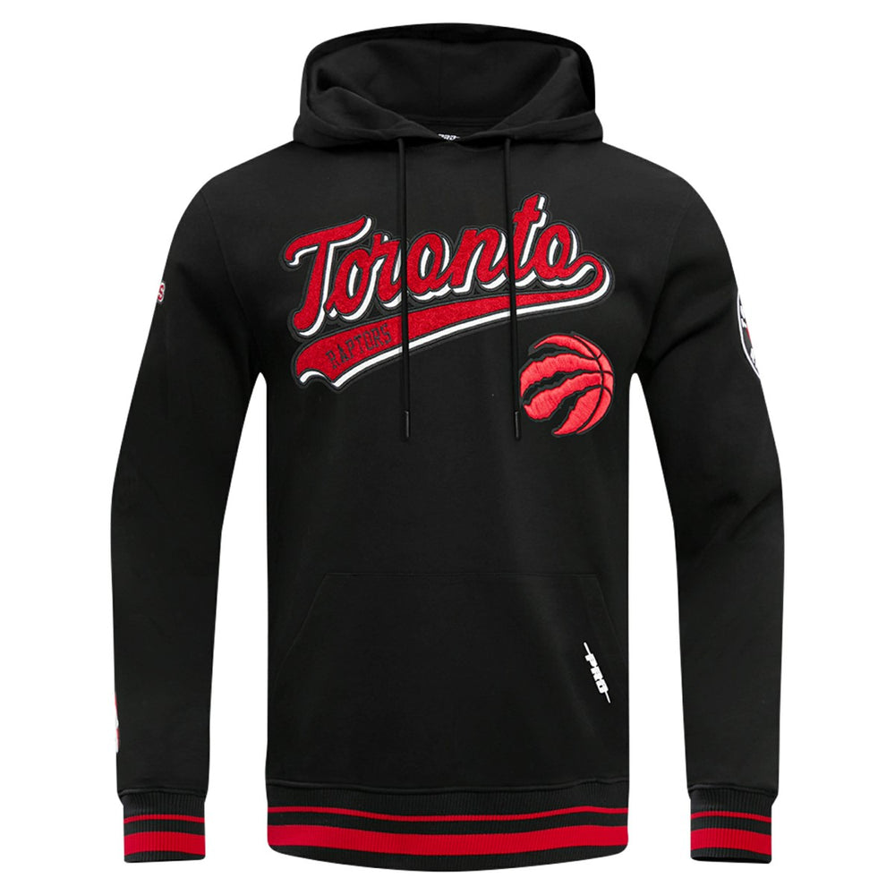 Toronto Raptors Pro Standard Script Tail Pullover Hoodie For Sale